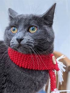 Blue Scarf