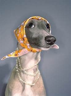 Head Scarf