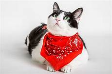 Mexican Scarf