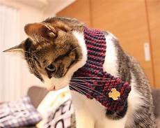Neck Muffler