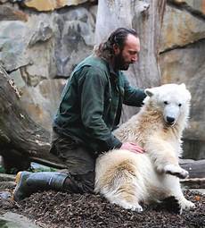 Polar Scarves