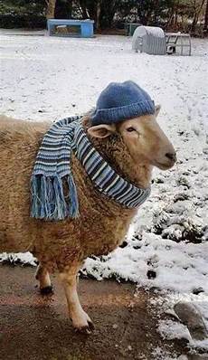 Small Scarf